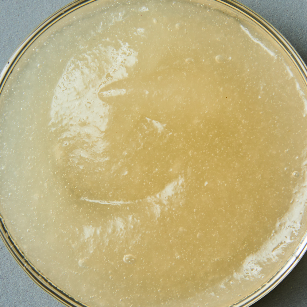 ダイエットサポートに最適！Sea Moss Gelで無理なく痩せる
